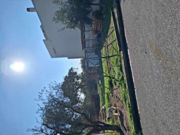 Οικόπεδο 423.92 τ.μ. σε πλειστηριασμό Δήμος Βόλου