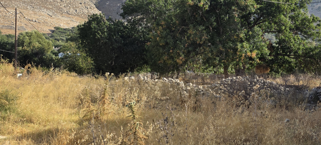 Οικόπεδο 103.22 τ.μ. σε πλειστηριασμό Δήμος Σύμης