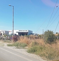 photo9