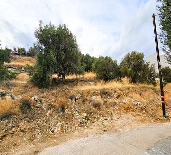 Οικόπεδο 454.72 τ.μ. σε πλειστηριασμό Δήμος Αγίου Νικολάου