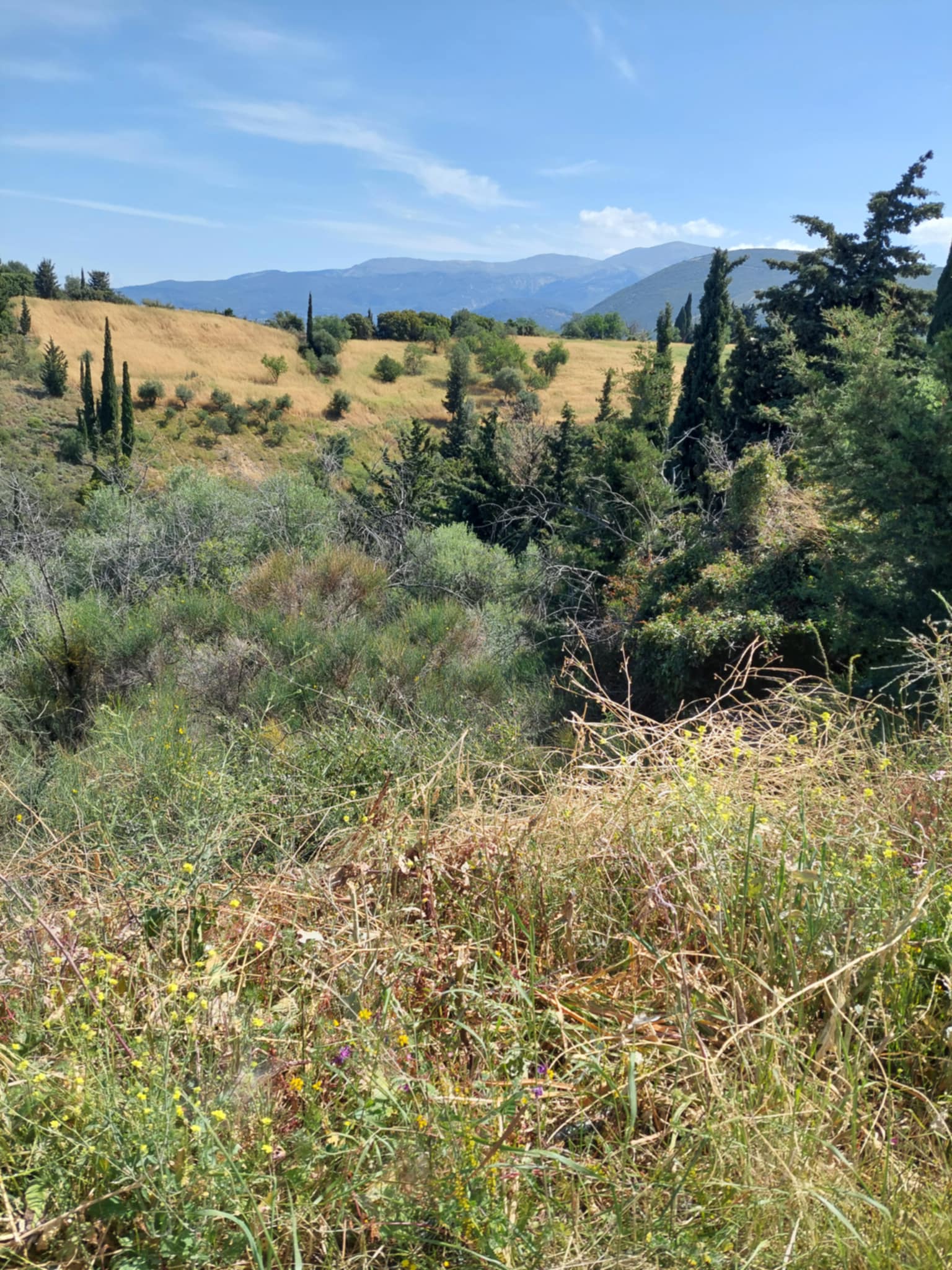 Οικόπεδο  σε πλειστηριασμό Δήμος Πατρέων