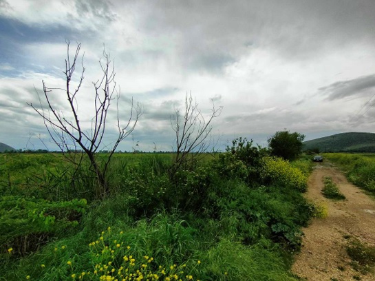 Οικόπεδο 0 sq.m. σε πλειστηριασμό Municipality of Farkadona