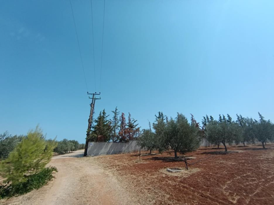 Αγροτεμάχιο 139.56 sq.m. σε πλειστηριασμό Municipality of Velos - Vochas