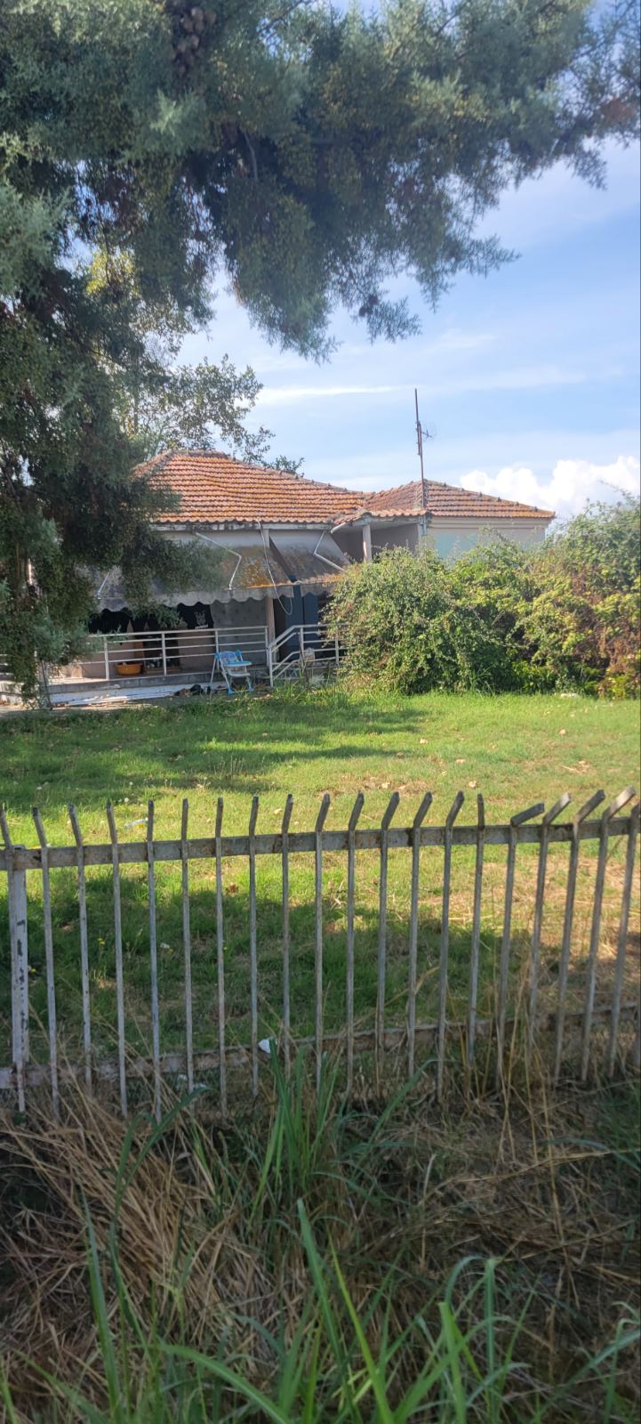 Οικόπεδο με κτίσμα 115.50 τ.μ. σε πλειστηριασμό Δήμος Αλεξάνδρειας