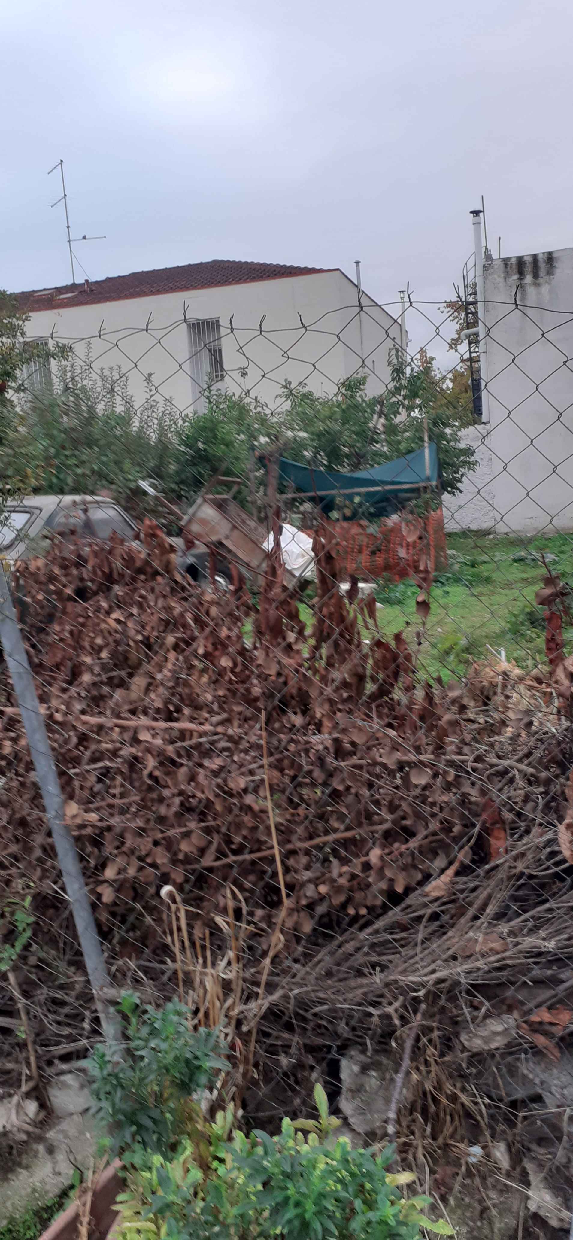 Οικόπεδο  σε πλειστηριασμό Δήμος Λαρισαίων