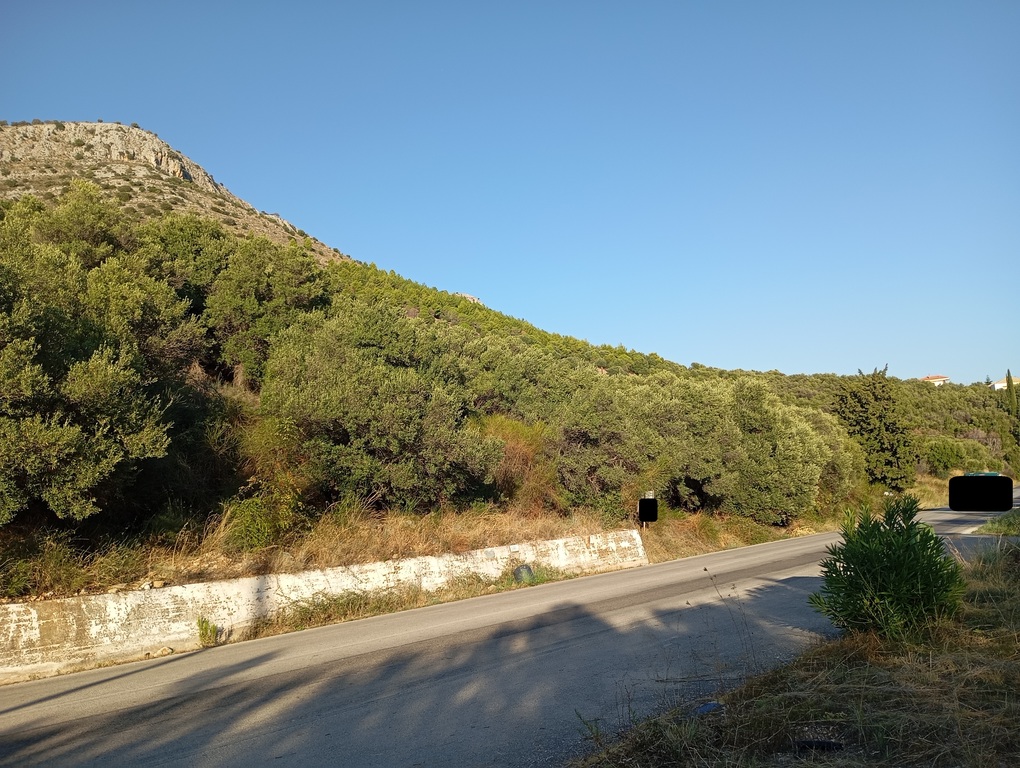 Αγροτεμάχιο  σε πλειστηριασμό Δήμος Ηγουμενίτσας