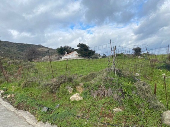 Αγροτεμάχιο με κτίσμα  σε πλειστηριασμό Δήμος Αγίου Βασιλείου