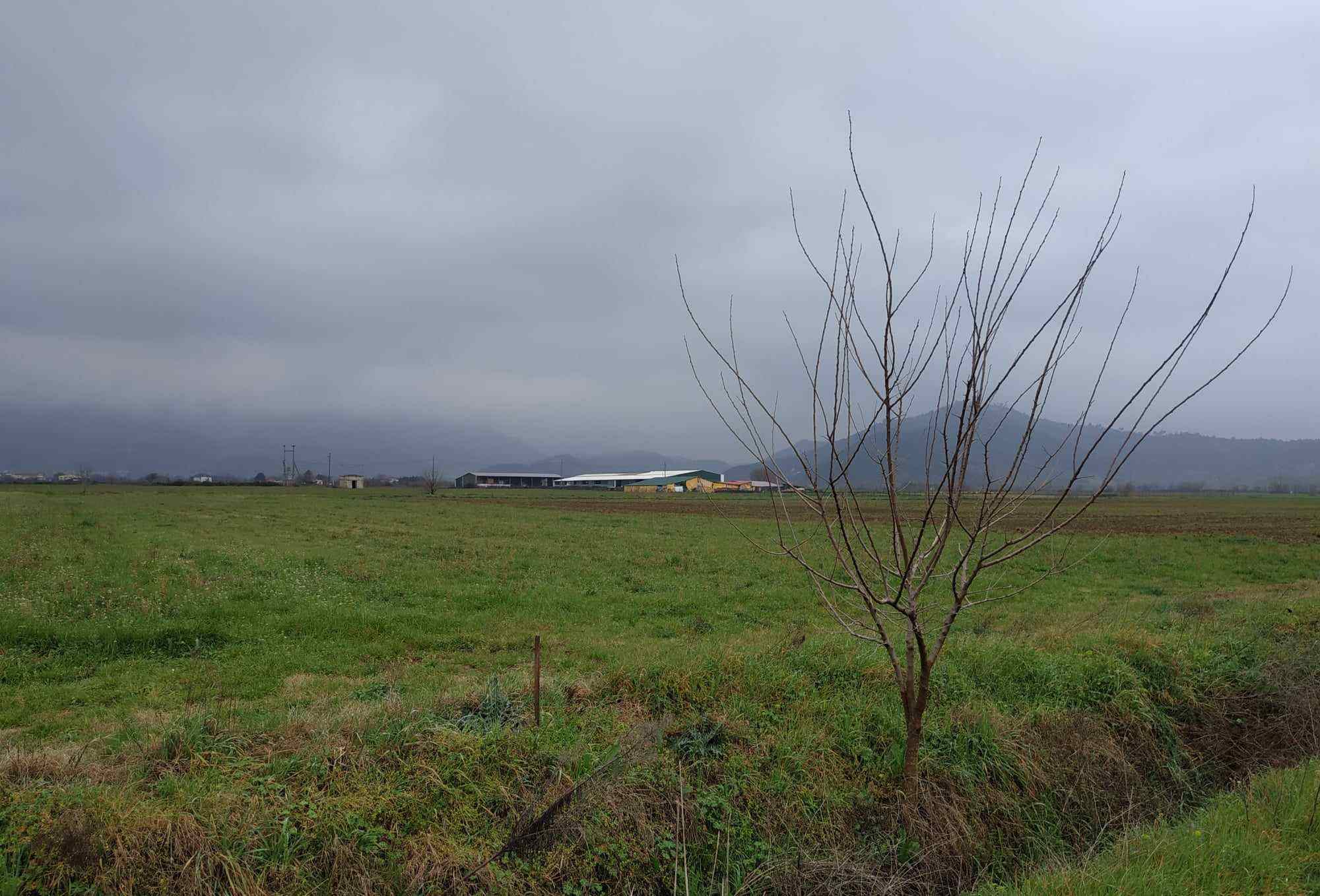 Αγροτεμάχιο 396 τ.μ. σε πλειστηριασμό Δήμος Μουζακίου