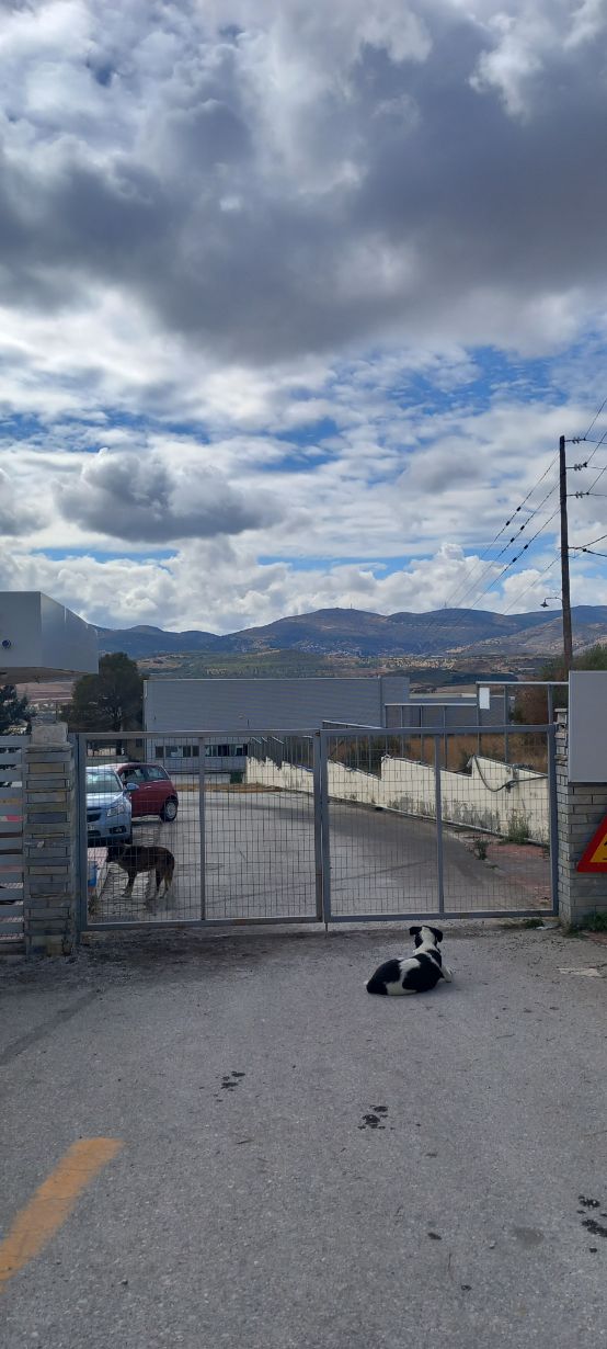 Βιομηχανικός / Βιοτεχνικός Χώρος 515.03 sq.m. σε πλειστηριασμό Municipality of Volos