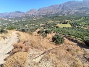 Αγροτεμάχιο 5120 τ.μ. σε πλειστηριασμό Δήμος Αγίου Βασιλείου