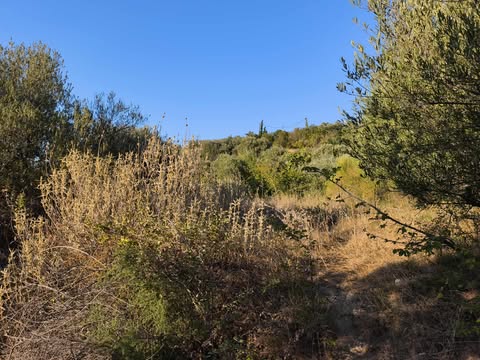 Οικόπεδο 23.79 sq.m. σε πλειστηριασμό Municipality of Aegialia