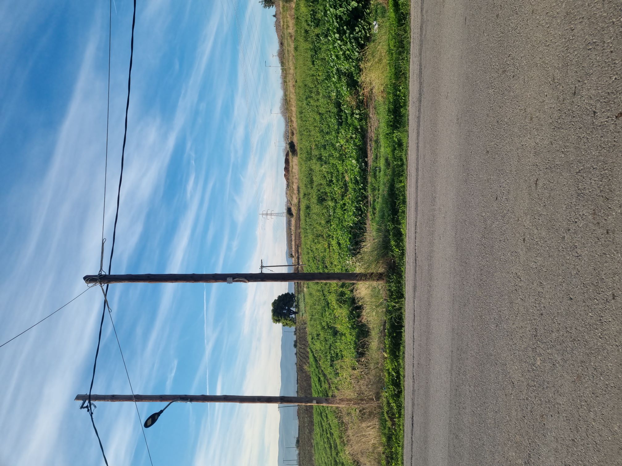 Αγροτεμάχιο  σε πλειστηριασμό Δήμος Τανάγρας