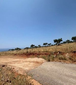 Αγροτεμάχιο  σε πλειστηριασμό Δήμος Σφακίων