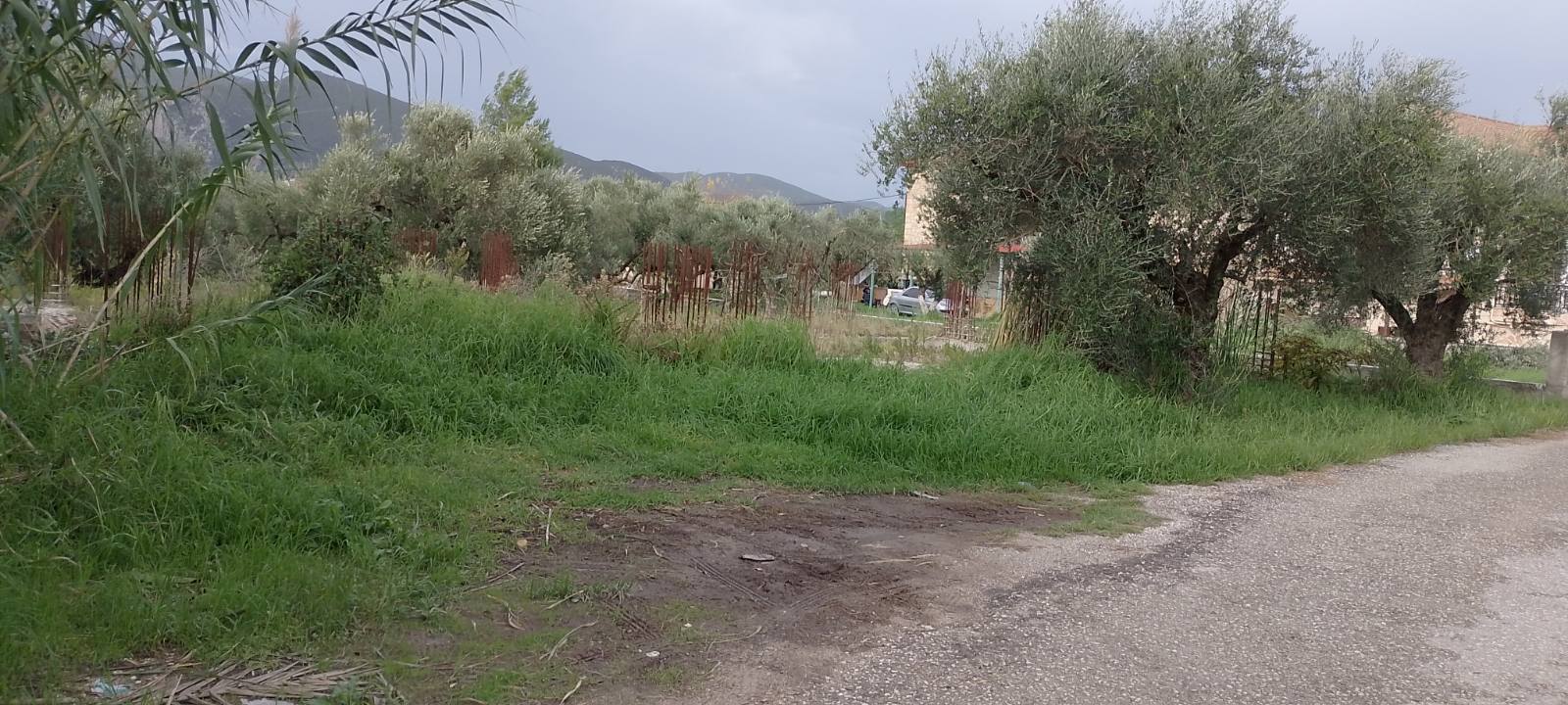 Οικόπεδο με κτίσμα  σε πλειστηριασμό Δήμος Ζακύνθου