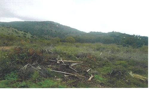 Αγροτεμάχιο  σε πλειστηριασμό Municipality of Igoumenitsa