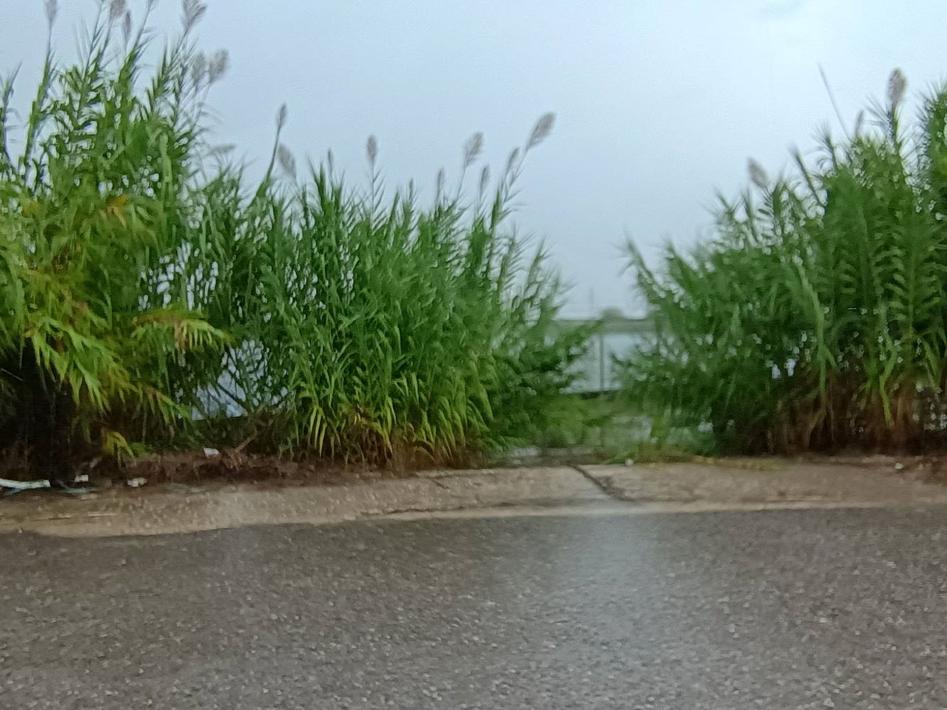 Αγροτεμάχιο με κτίσμα  σε πλειστηριασμό Δήμος Αγρινίου