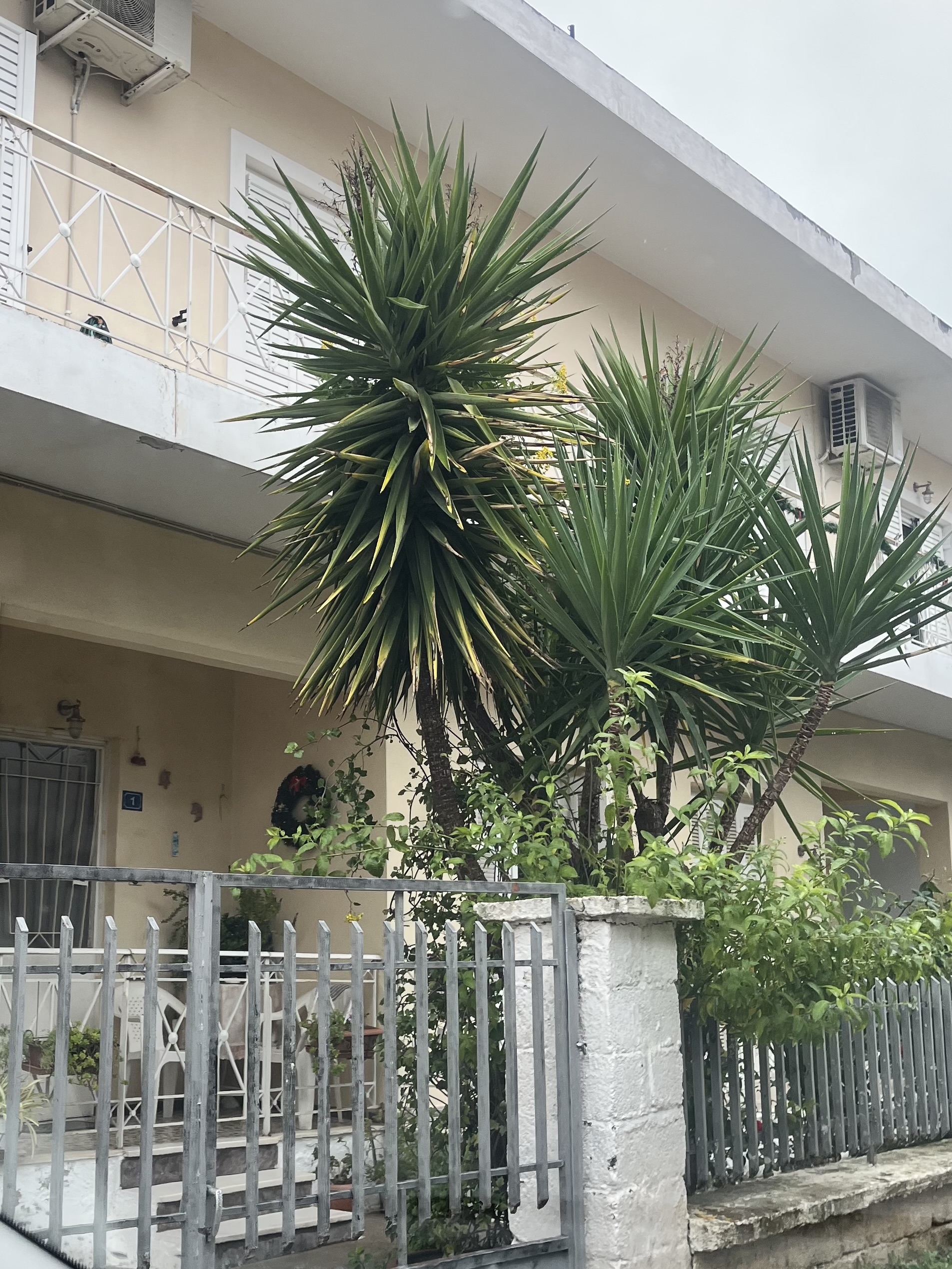 Κατοικία  σε πλειστηριασμό Municipality of Thebes