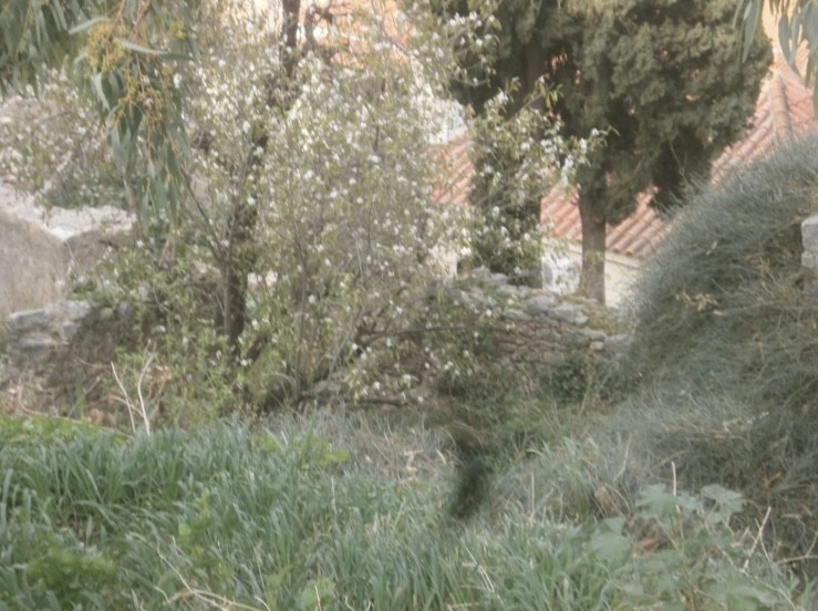 Οικόπεδο με κτίσμα  σε πλειστηριασμό Municipality of Trifylia