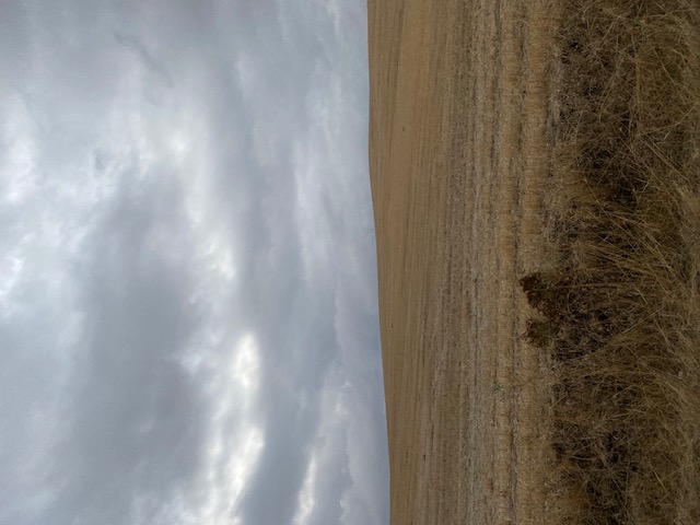 Αγροτεμάχιο 999 τ.μ. σε πλειστηριασμό Δήμος Φαρσάλων