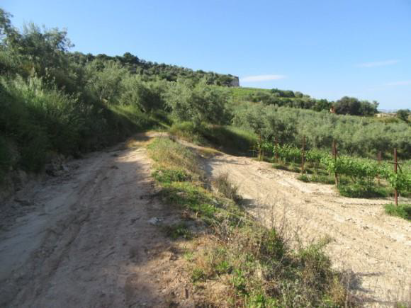 Αγροτεμάχιο 541 τ.μ. σε πλειστηριασμό Δήμος Βέλου - Βόχας