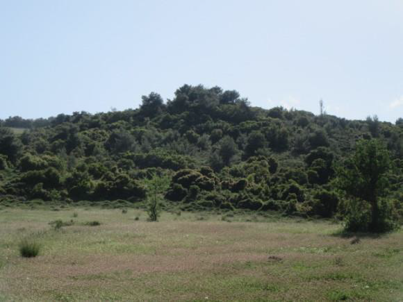 Αγροτεμάχιο 255.02 τ.μ. σε πλειστηριασμό Δήμος Βέλου - Βόχας