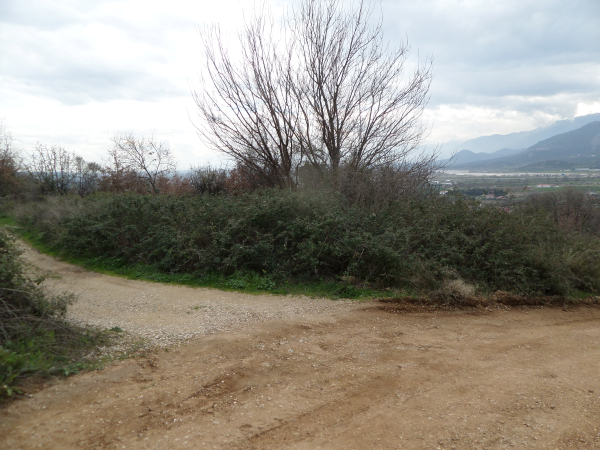 Οικόπεδο 850.86 τ.μ. σε πλειστηριασμό Δήμος Μετεώρων