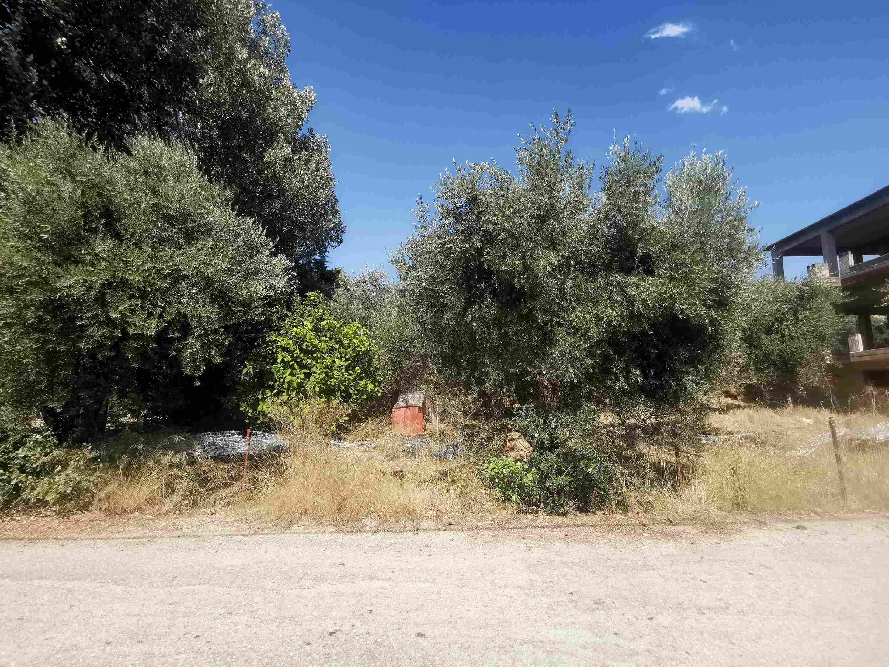 Οικόπεδο 408.64 sq.m. σε πλειστηριασμό Municipality of Patreon