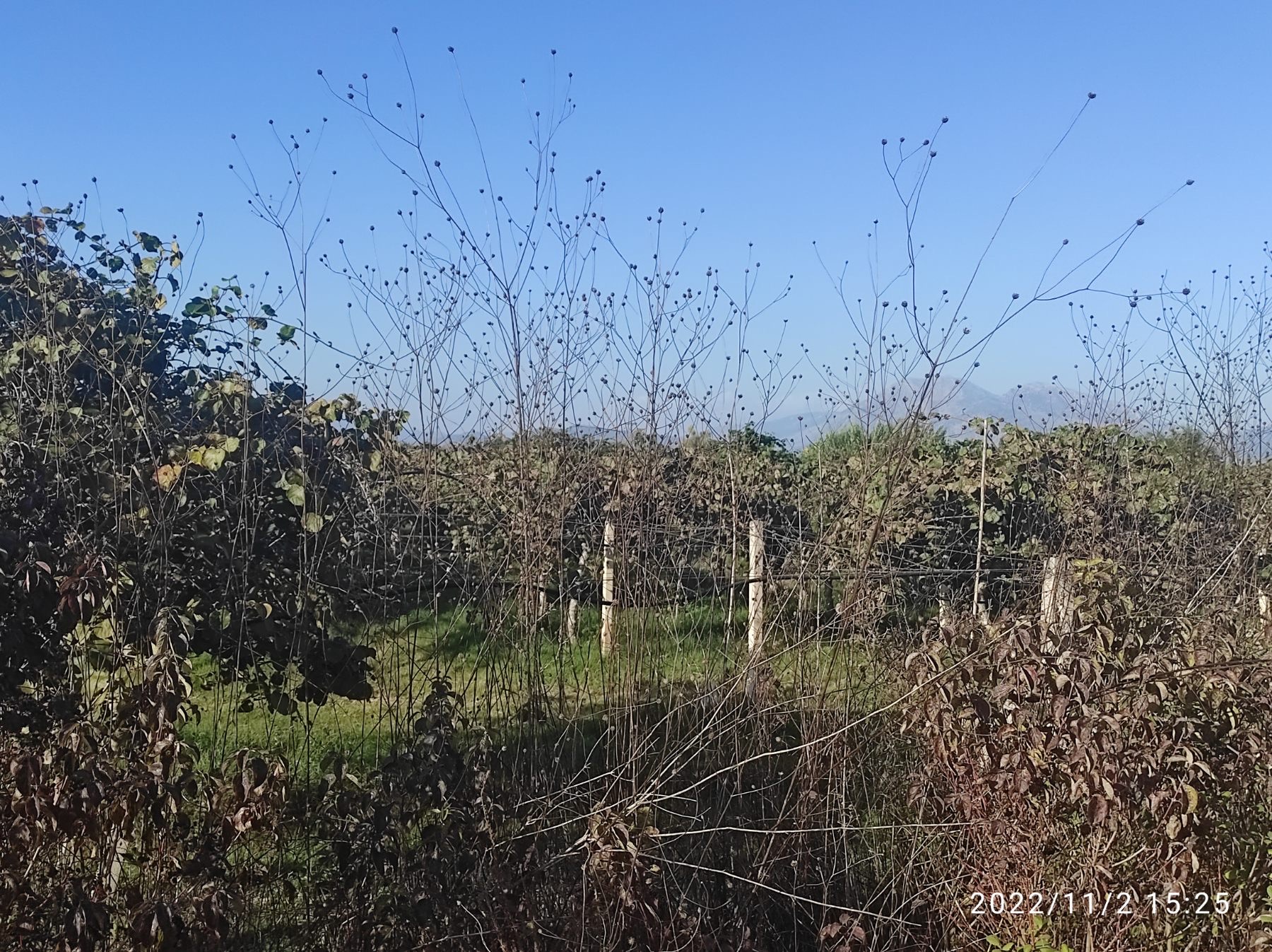 Αγροτεμάχιο 120 τ.μ. σε πλειστηριασμό Δήμος Αρταίων