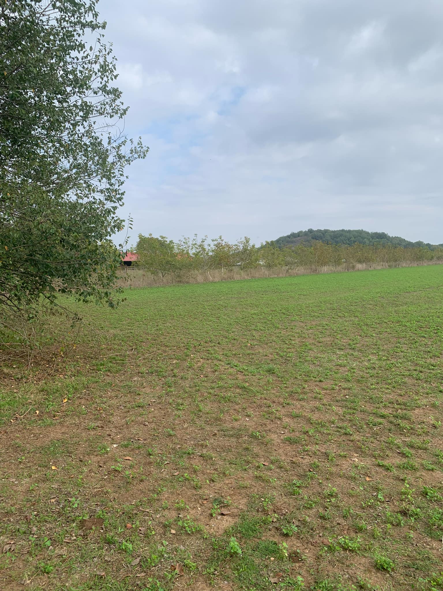 Αγροτεμάχιο με κτίσμα  σε πλειστηριασμό Municipality of Pyli