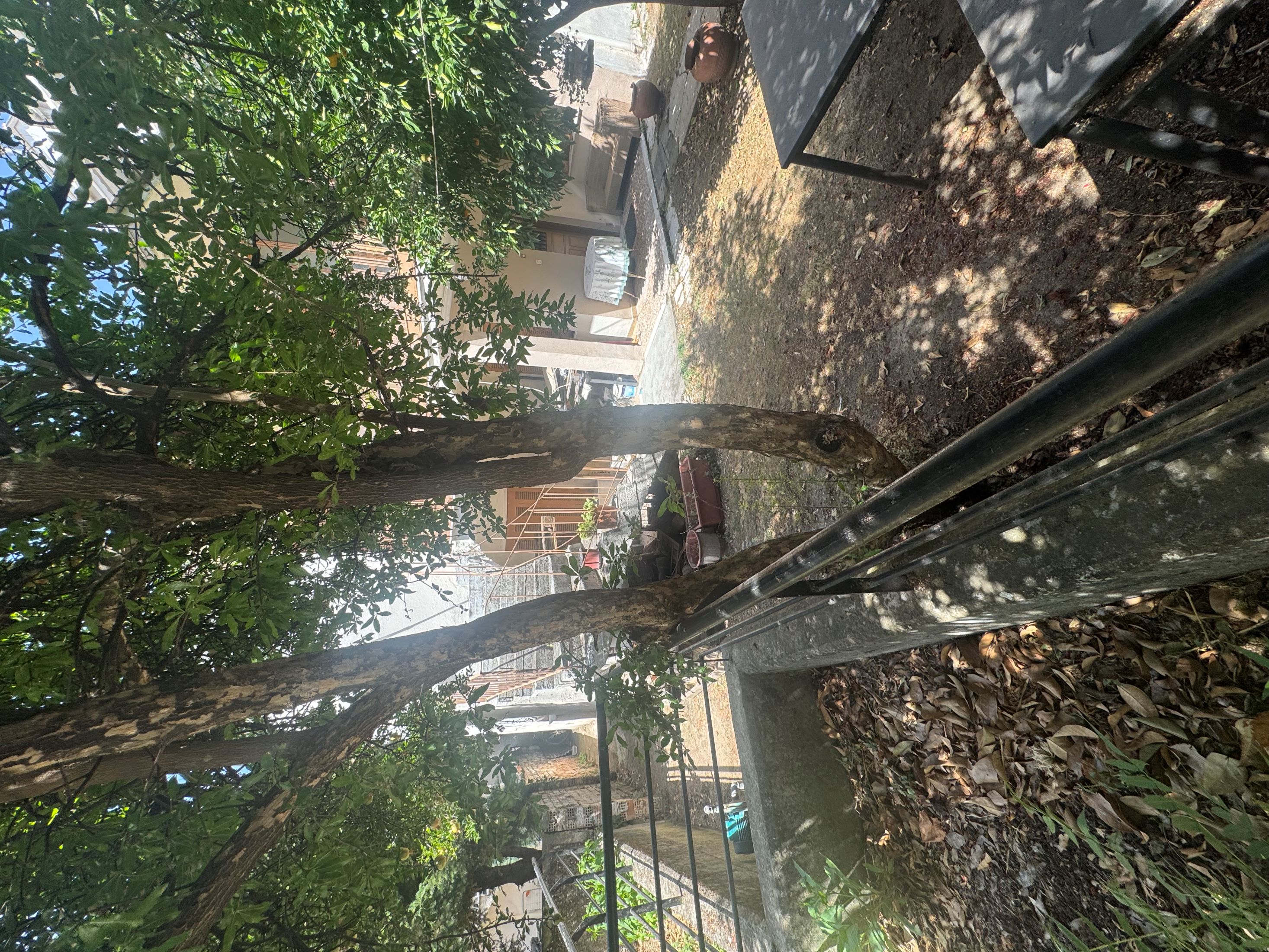 Οικόπεδο με κτίσμα  σε πλειστηριασμό Municipality of Trikkaia