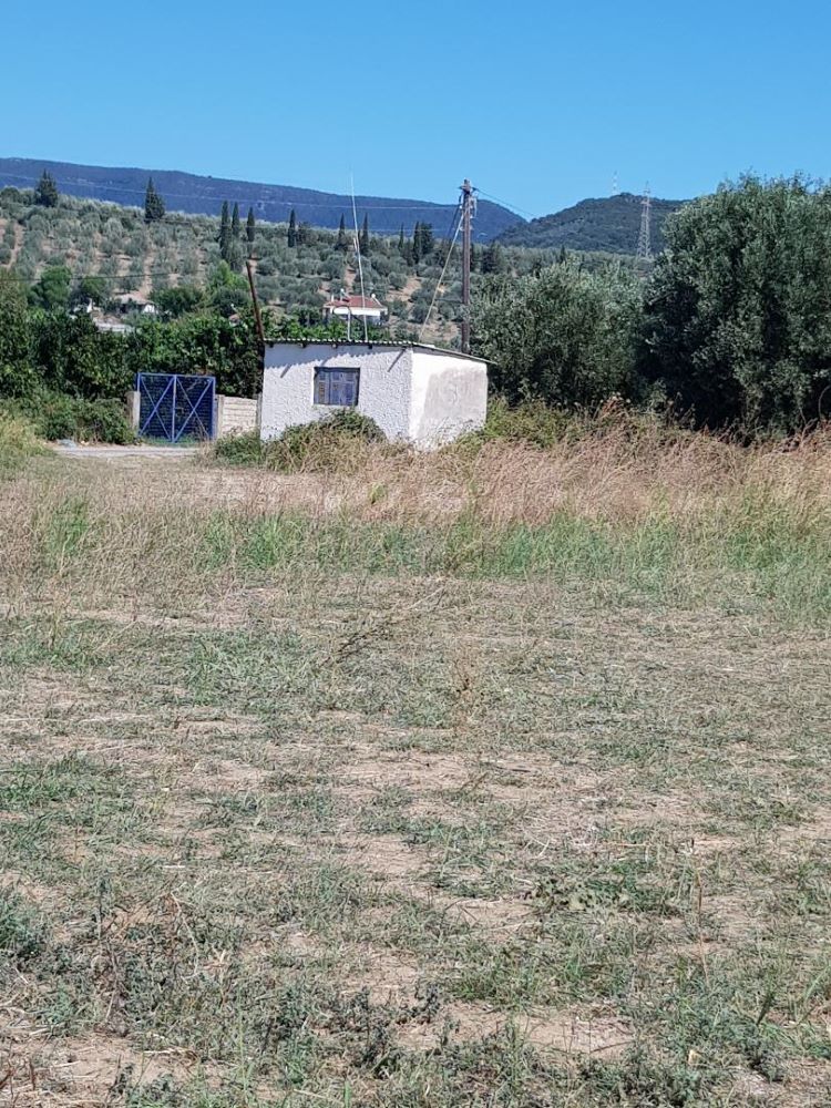 Αγροτεμάχιο με κτίσμα  σε πλειστηριασμό Municipality of Amfilochia