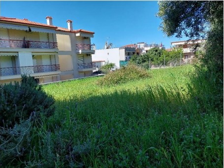 Οικόπεδο 649.68 τ.μ. σε πλειστηριασμό Δήμος Κασσάνδρας