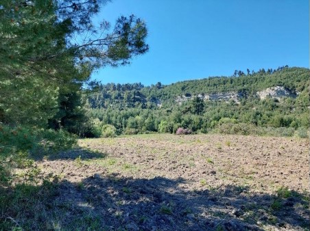 Αγροτεμάχιο 649.68 τ.μ. σε πλειστηριασμό Δήμος Κασσάνδρας