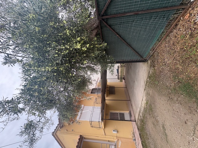 Κατοικία  σε πλειστηριασμό Δήμος Ορχομενού