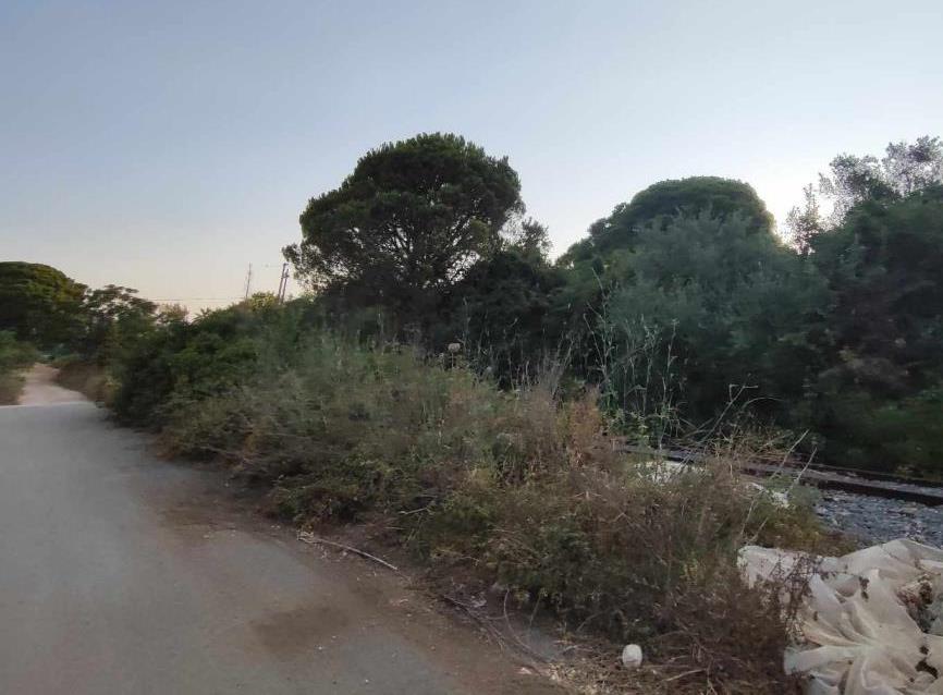 Αγροτεμάχιο με κτίσμα  σε πλειστηριασμό Δήμος Τριφυλίας