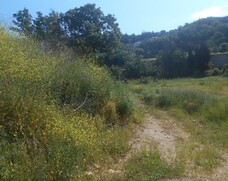 Οικόπεδο  σε πλειστηριασμό Municipality of Igoumenitsa