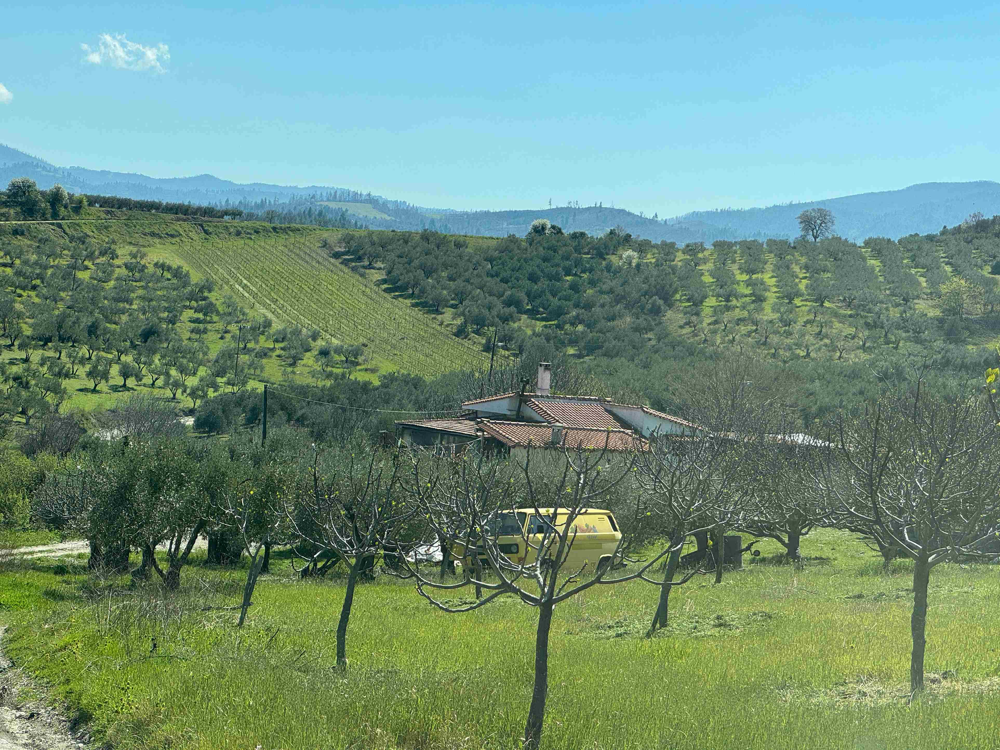 Οικόπεδο με κτίσμα  σε πλειστηριασμό Δήμος Ιστιαίας - Αιδηψού