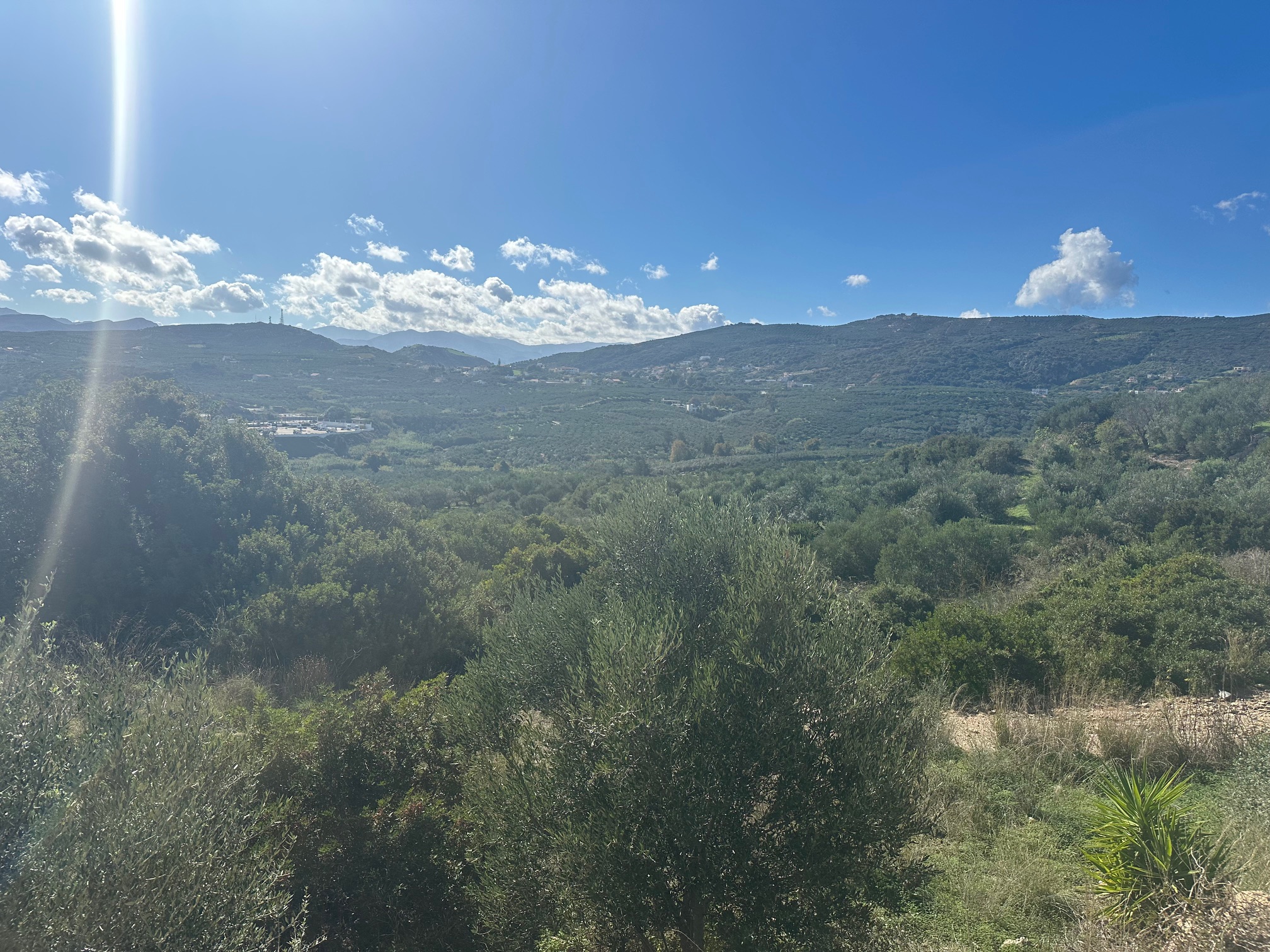 Οικόπεδο 500 τ.μ. σε πλειστηριασμό Δήμος Πλατανιά  