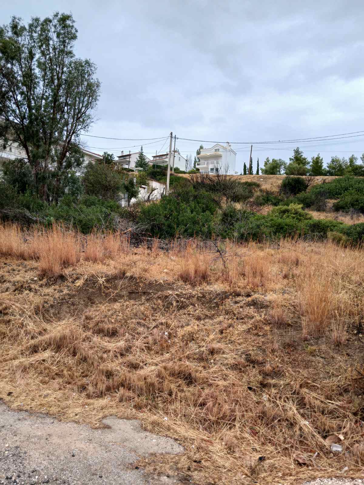 Οικόπεδο  σε πλειστηριασμό Δήμος Παλλήνης