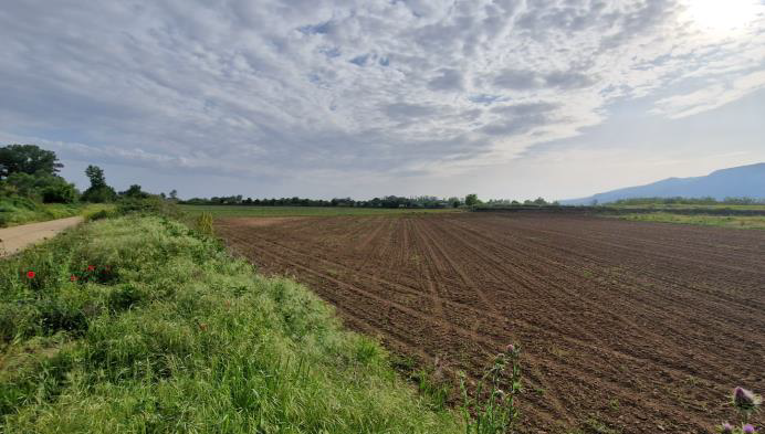 Αγροτεμάχιο 11250 τ.μ. σε πλειστηριασμό Δήμος Νέστου