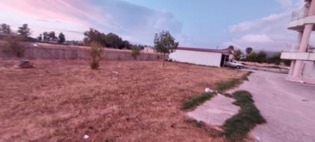 Οικόπεδο 1781.86 τ.μ. σε πλειστηριασμό Δήμος Ζακύνθου