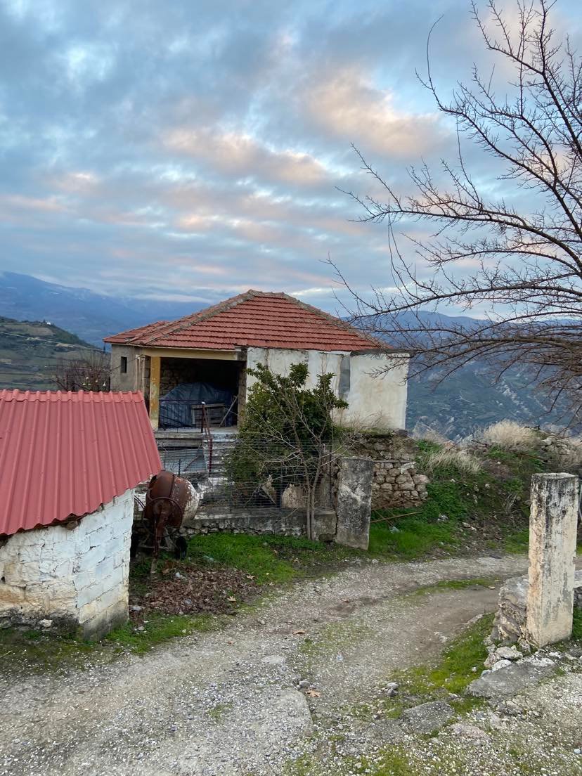 Οικόπεδο με κτίσμα 232.27 τ.μ. σε πλειστηριασμό Δήμος Ξυλοκάστρου - Ευρωστίνης