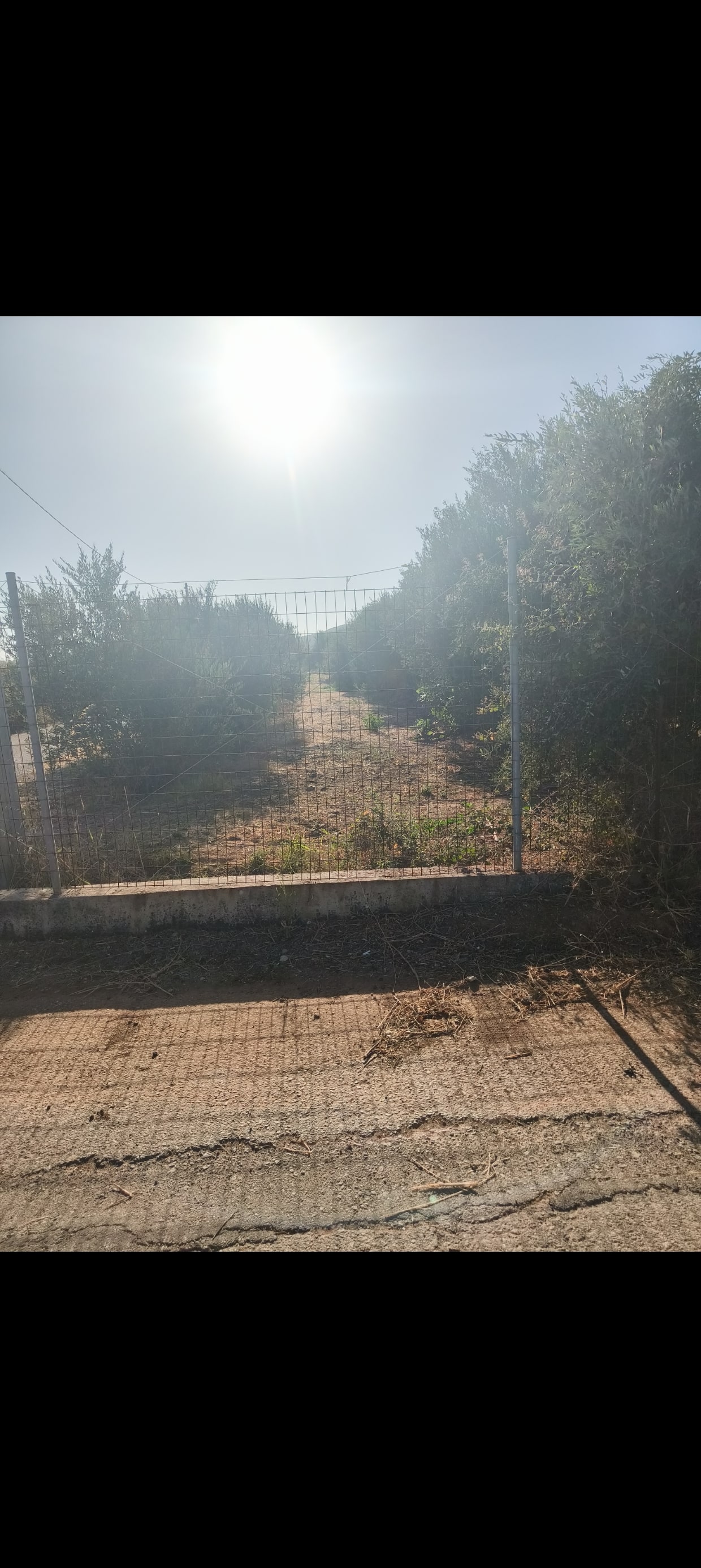 Αγροτεμάχιο με κτίσμα  σε πλειστηριασμό Δήμος Χανίων