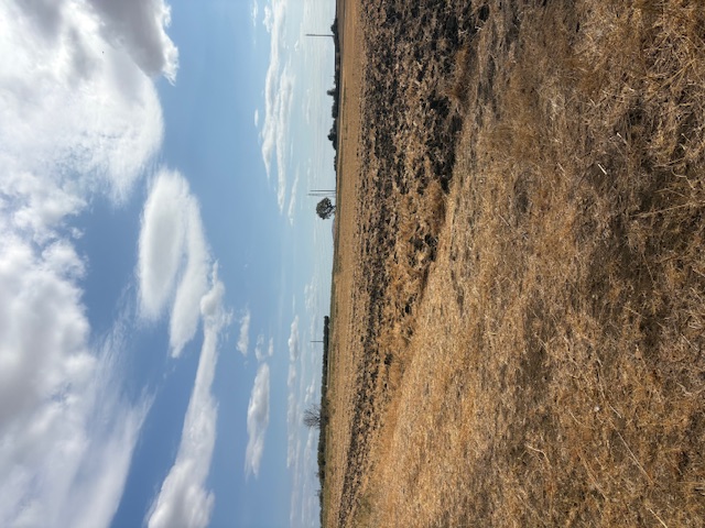 Αγροτεμάχιο  σε πλειστηριασμό Municipality of Komotini