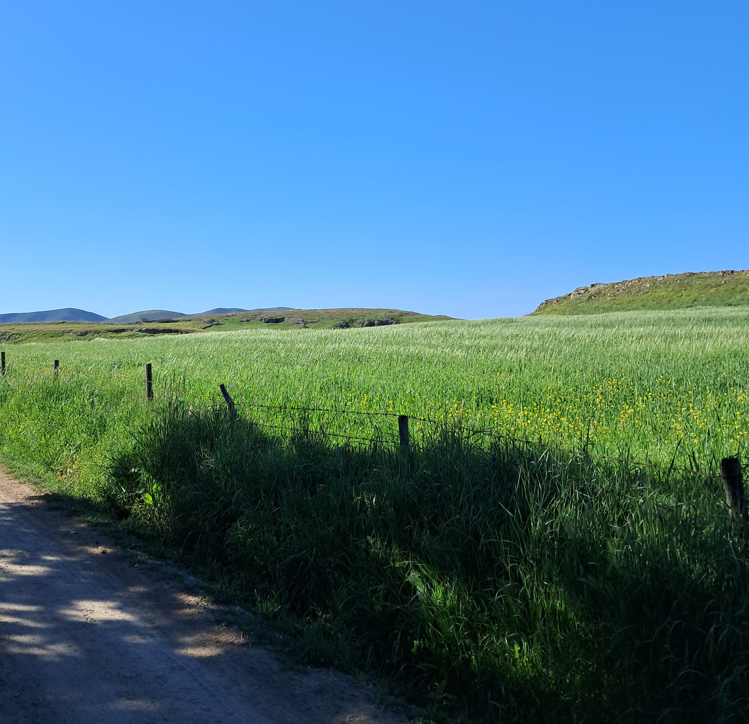 Αγροτεμάχιο  σε πλειστηριασμό Δήμος Λήμνου