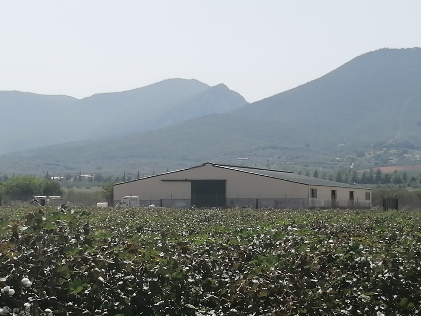 Αγροτεμάχιο με κτίσμα  σε πλειστηριασμό Δήμος Αλμυρού