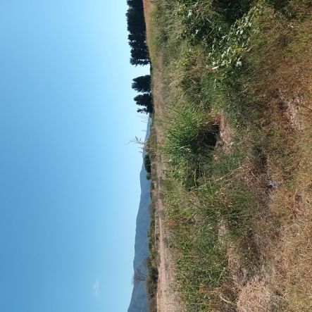 Αγροτεμάχιο 720 τ.μ. σε πλειστηριασμό Δήμος Βόλβης