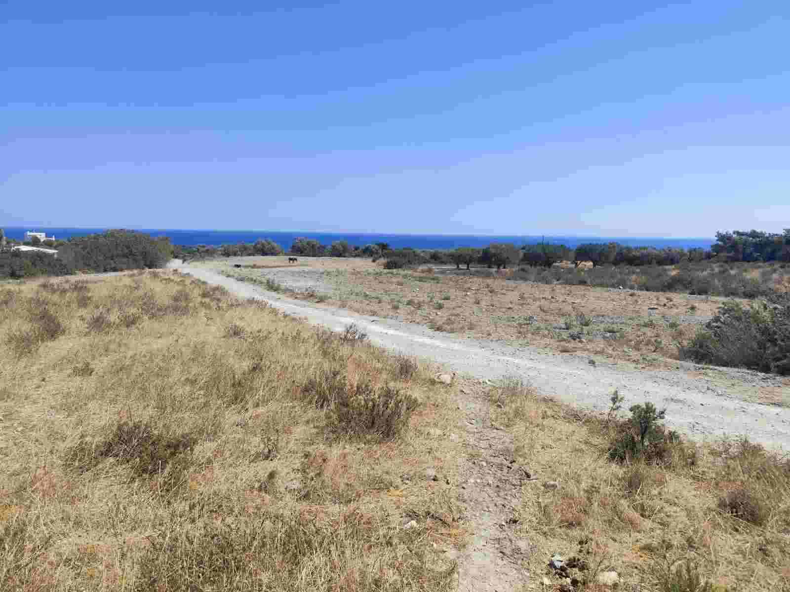 Αγροτεμάχιο 7040 τ.μ. σε πλειστηριασμό Δήμος Ρόδου