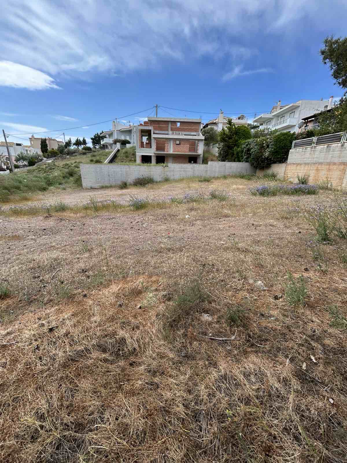 Οικόπεδο  σε πλειστηριασμό Δήμος Λαυρεωτικής