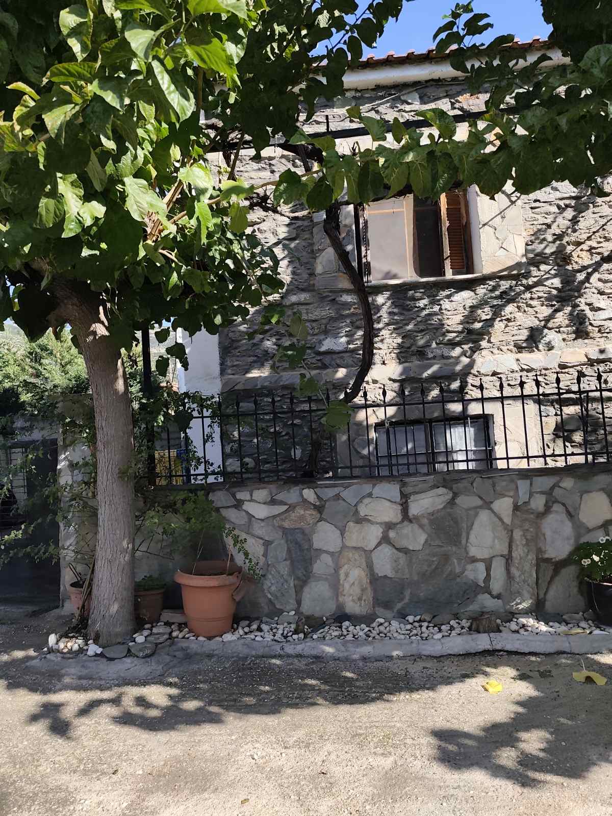 Οικόπεδο με κτίσμα  σε πλειστηριασμό Δήμος  Τεμπών